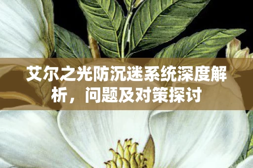 艾尔之光防沉迷系统深度解析图片