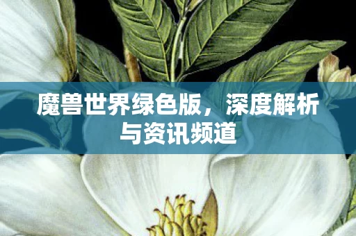 深度解析与资讯频道图片