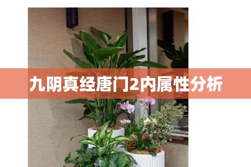 九阴真经唐门2内属性分析图片