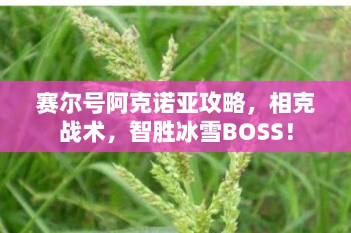 赛尔号阿克诺亚攻略图片