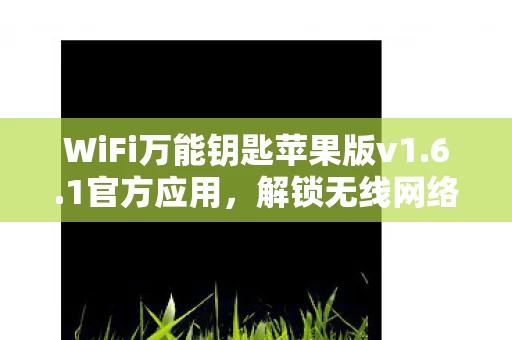 WiFi万能钥匙苹果版v1图片