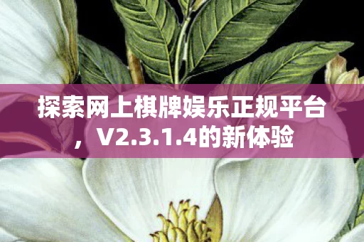探索网上棋牌娱乐正规平台图片