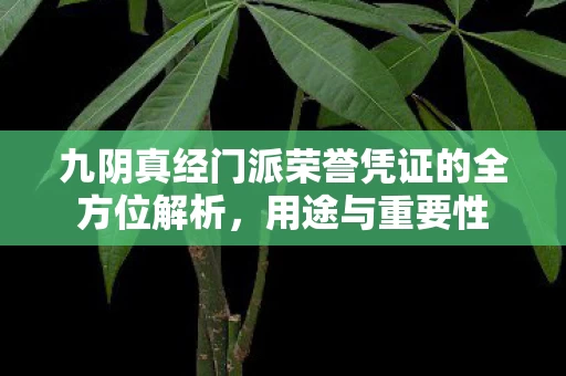 九阴真经门派荣誉凭证的全方位解析图片