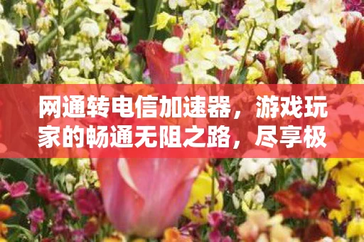 游戏玩家的畅通无阻之路图片