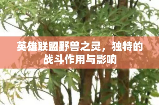 独特的战斗作用与影响图片