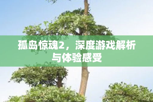 深度游戏解析与体验感受图片
