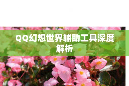 QQ幻想世界辅助工具深度解析图片