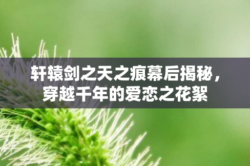 轩辕剑之天之痕幕后揭秘图片