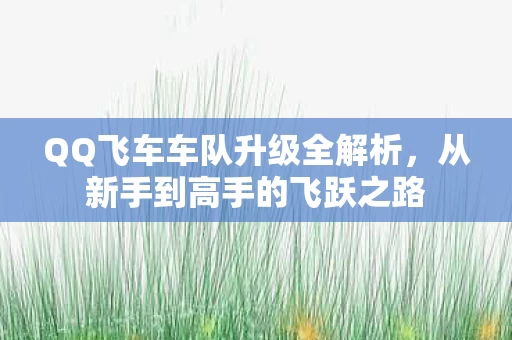 QQ飞车车队升级全解析图片