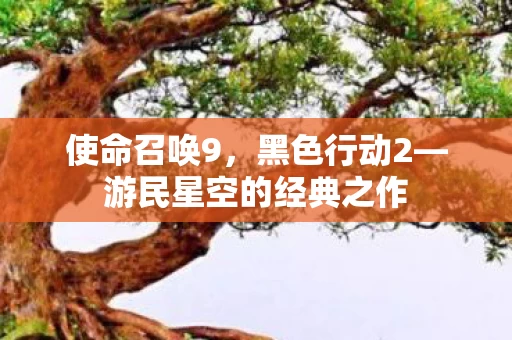 游民星空的经典之作图片