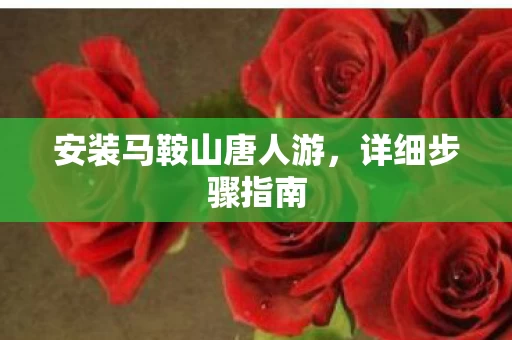 安装马鞍山唐人游图片