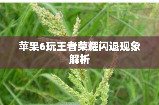 苹果6玩王者荣耀闪退现象解析图片