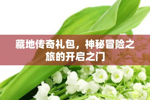神秘冒险之旅的开启之门图片