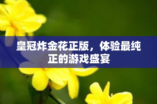 体验最纯正的游戏盛宴图片