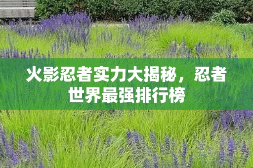 火影忍者实力大揭秘图片