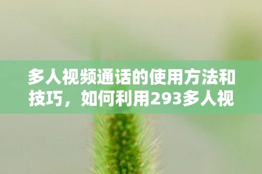 如何利用293多人视频通话功能图片