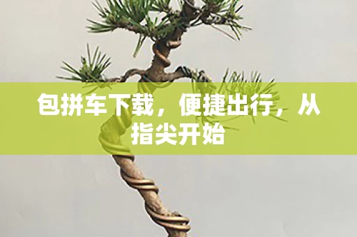 包拼车下载图片