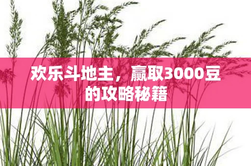 赢取3000豆的攻略秘籍图片
