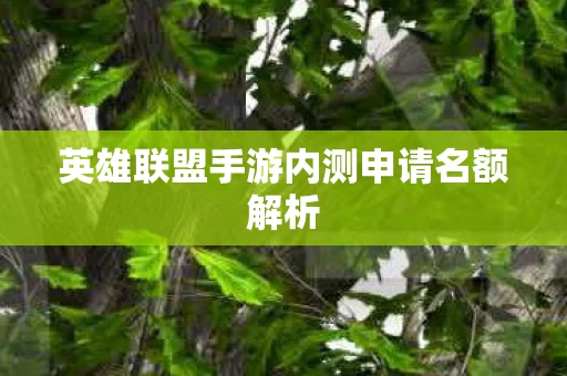 英雄联盟手游内测申请名额解析图片