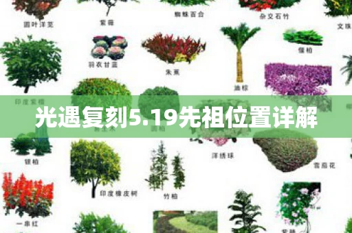 19先祖位置详解图片