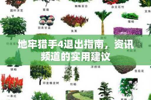 地牢猎手4退出指南图片