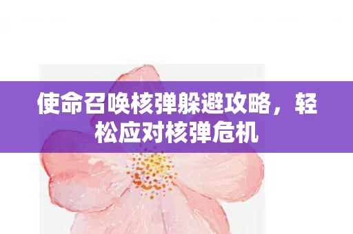 使命召唤核弹躲避攻略图片