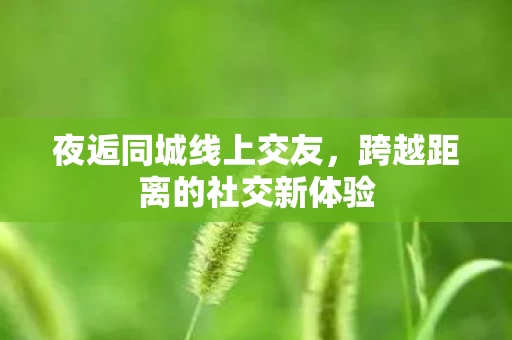 跨越距离的社交新体验图片
