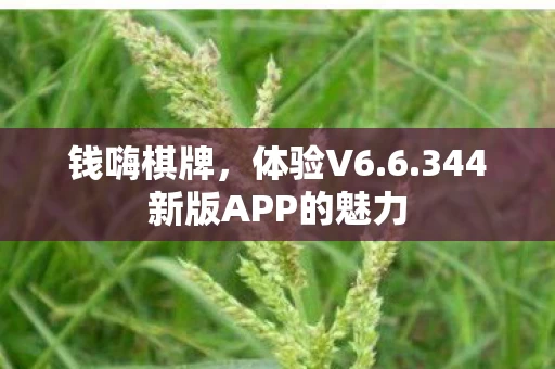 344新版APP的魅力图片