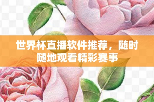 随时随地观看精彩赛事图片