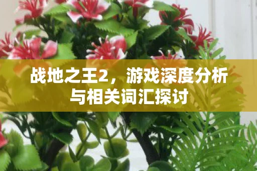 战地之王2,游戏深度分析与相关词汇探讨 战地之王2,游戏深度分析与相关词汇探讨