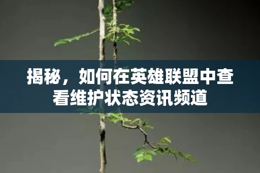 如何在英雄联盟中查看维护状态资讯频道图片
