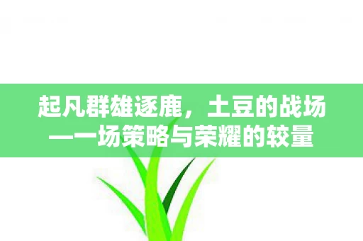 一场策略与荣耀的较量图片