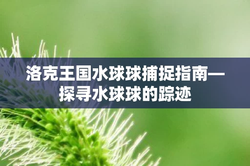 洛克王国水球球捕捉指南图片