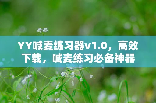 YY喊麦练习器v1图片