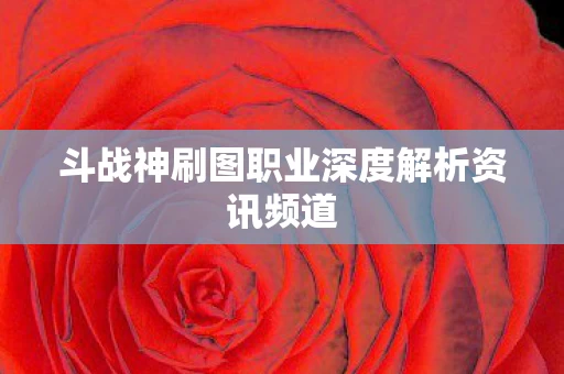 斗战神刷图职业深度解析资讯频道图片