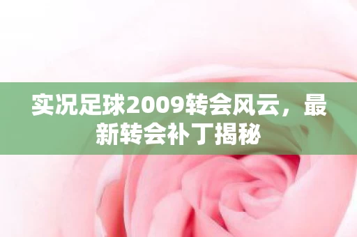 实况足球2009转会风云图片