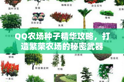 打造繁荣农场的秘密武器图片
