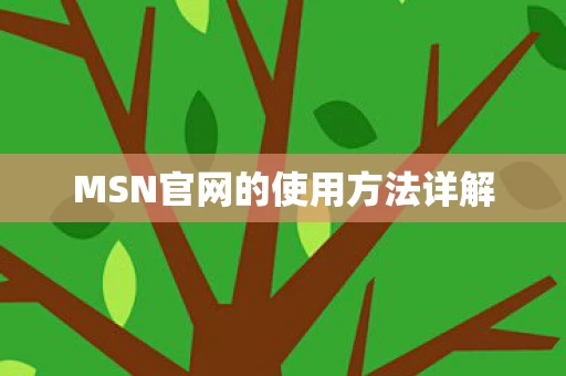 MSN官网的使用方法详解图片