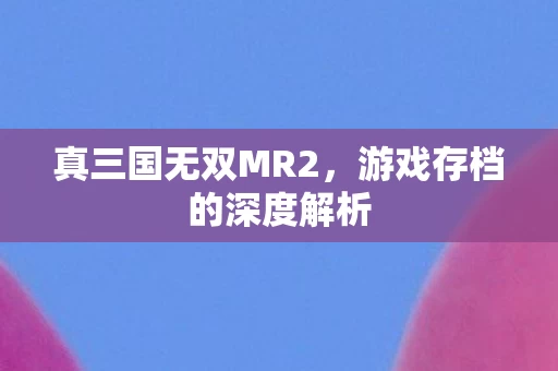 游戏存档的深度解析图片