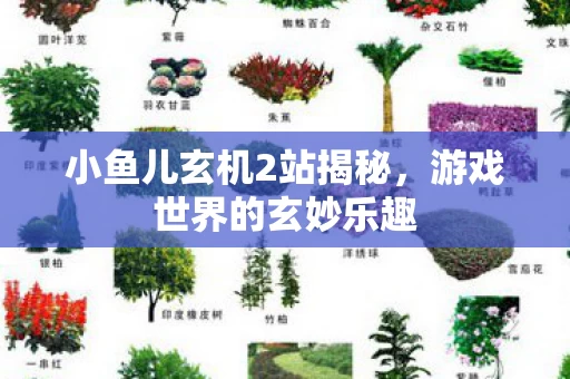 小鱼儿玄机2站揭秘图片