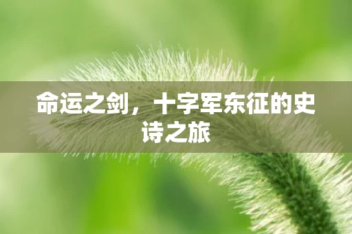 十字军东征的史诗之旅图片