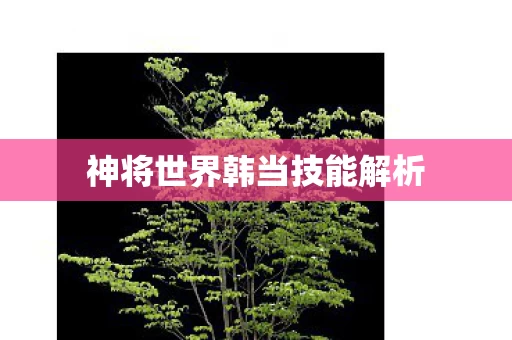 神将世界韩当技能解析图片