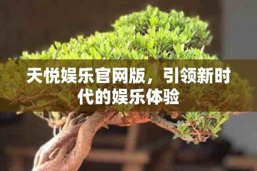 引领新时代的娱乐体验图片