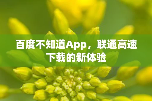 联通高速下载的新体验图片