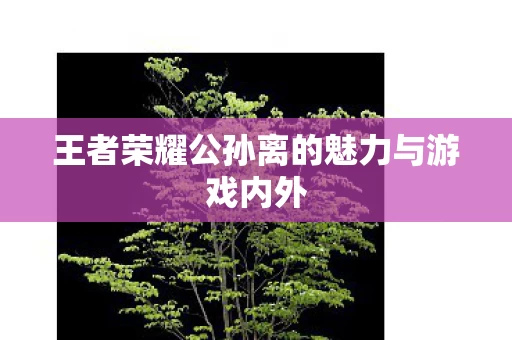 王者荣耀公孙离的魅力与游戏内外图片