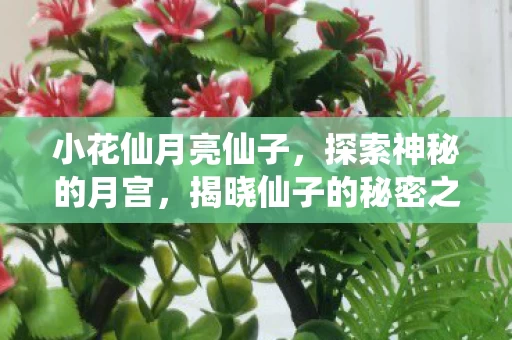 揭晓仙子的秘密之旅图片