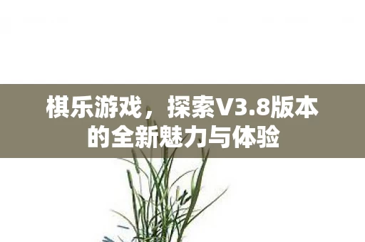 8版本的全新魅力与体验图片