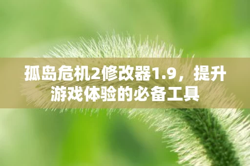 提升游戏体验的必备工具图片