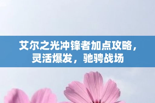 艾尔之光冲锋者加点攻略图片