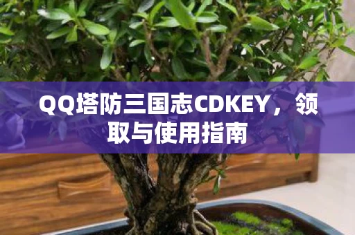 QQ塔防三国志CDKEY图片